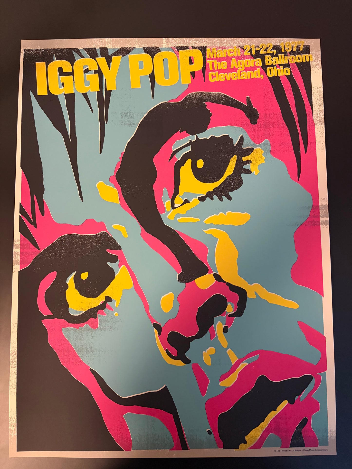 Iggy Pop Poster Cleveland, Ohio 2021 - Akiko Steherenberger