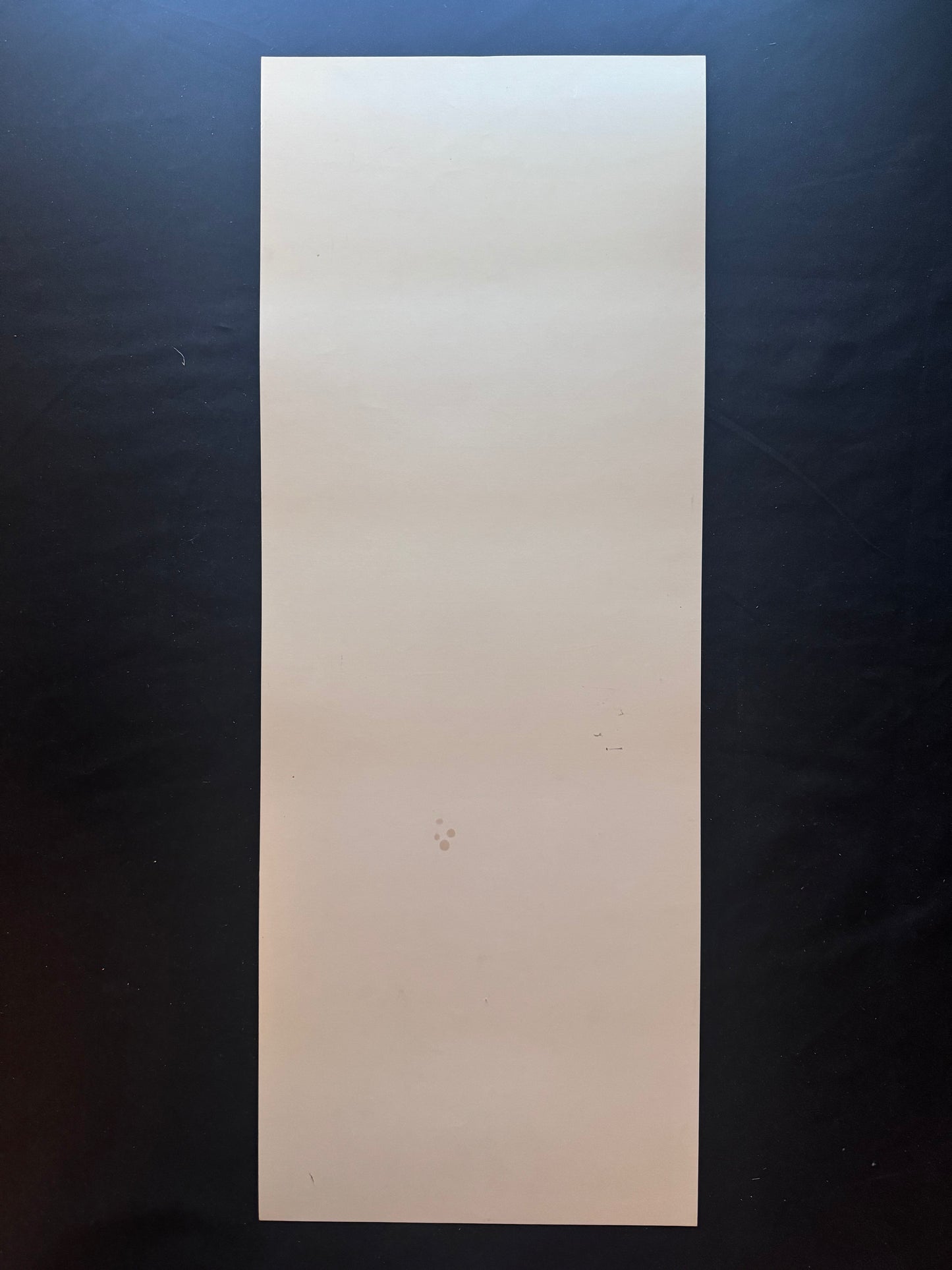 Pearl Jam Poster Raleigh, North Carolina 1998 - Ames Design