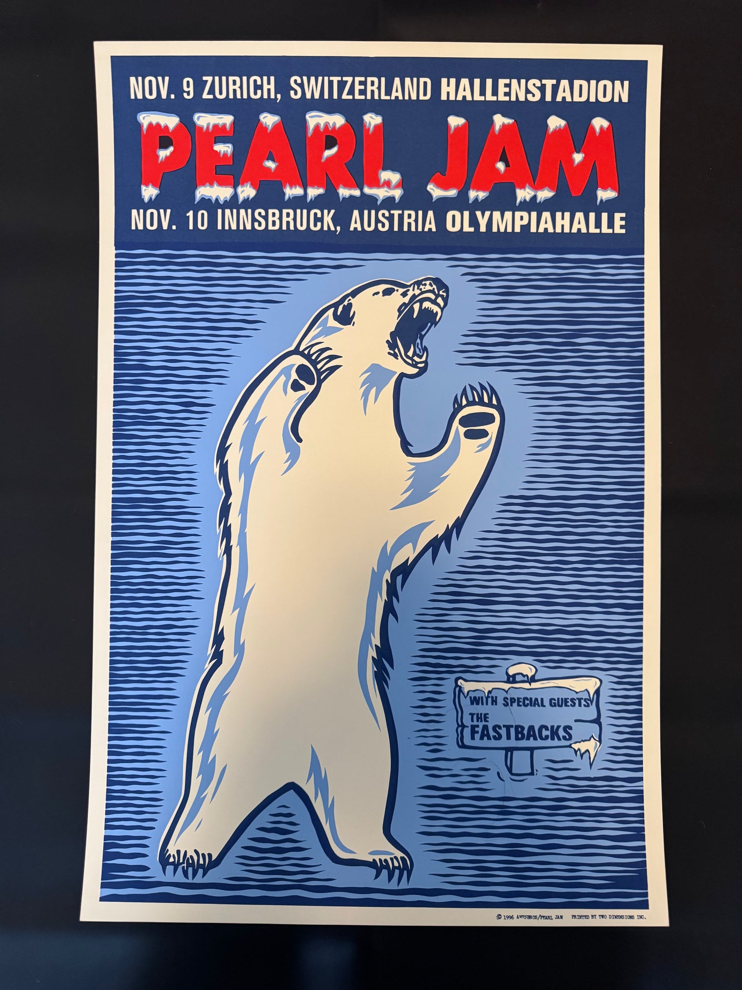 Pearl Jam Zurich, Switzerland / Innsbruck, Austria 1996 - Ames Design