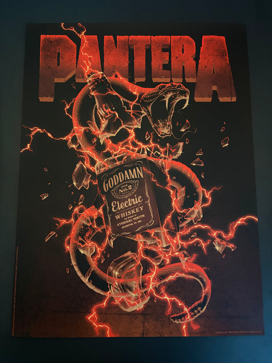 Pantera Goddamn Electric Whiskey Arlington, Texas 2020 - Matt Ryan Tobin