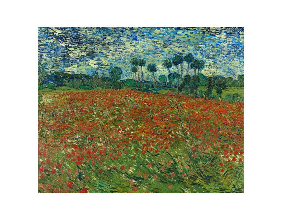 Poppy Field By Vincent Van Gogh Framed Print-4