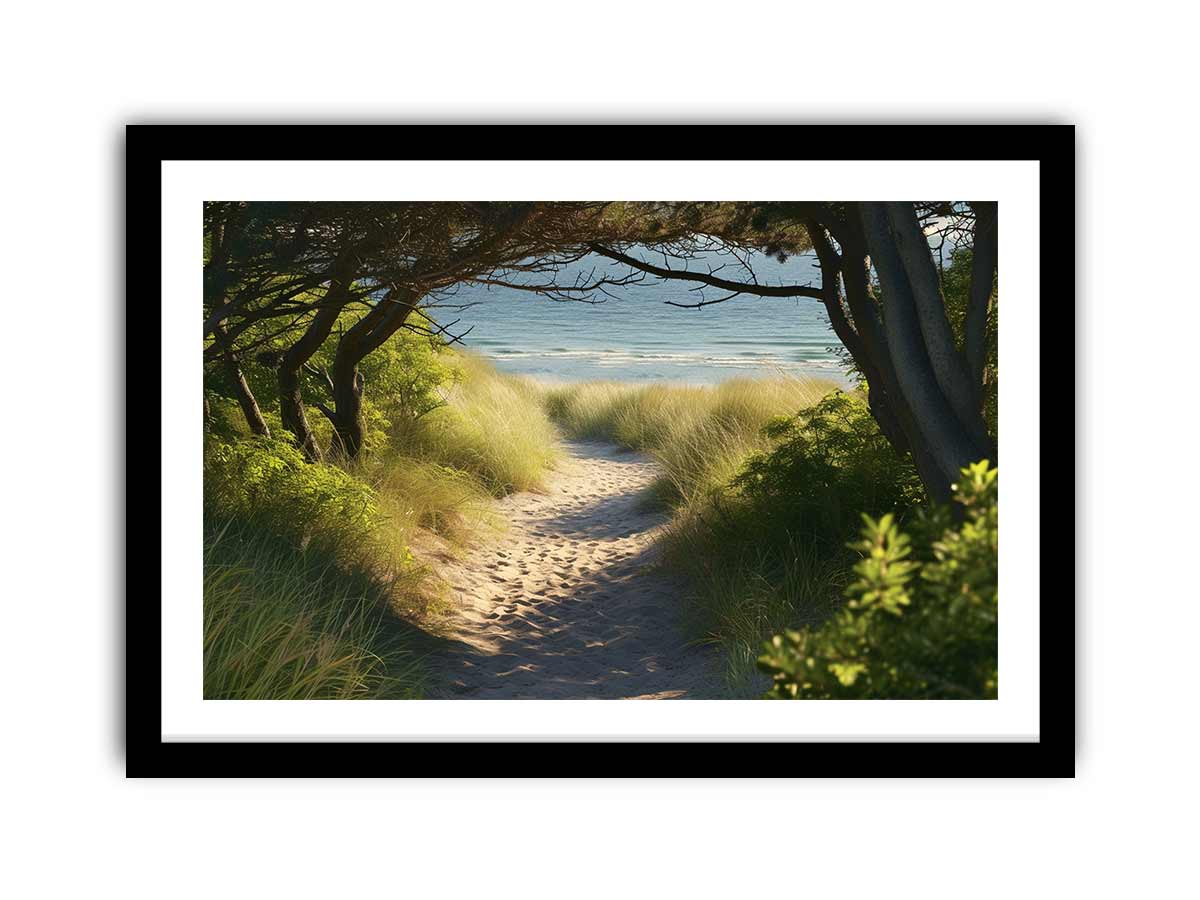 Beach Path Framed Print-0