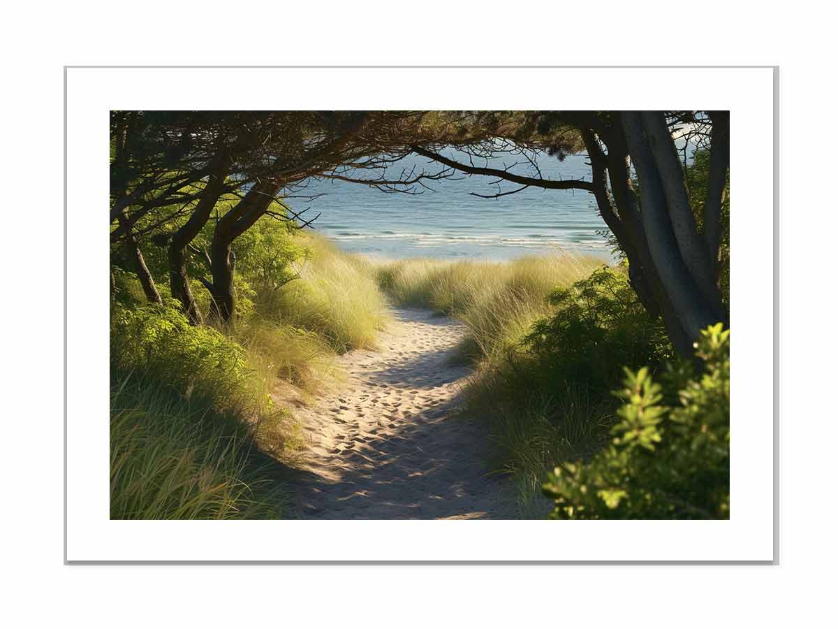 Beach Path Framed Print-3