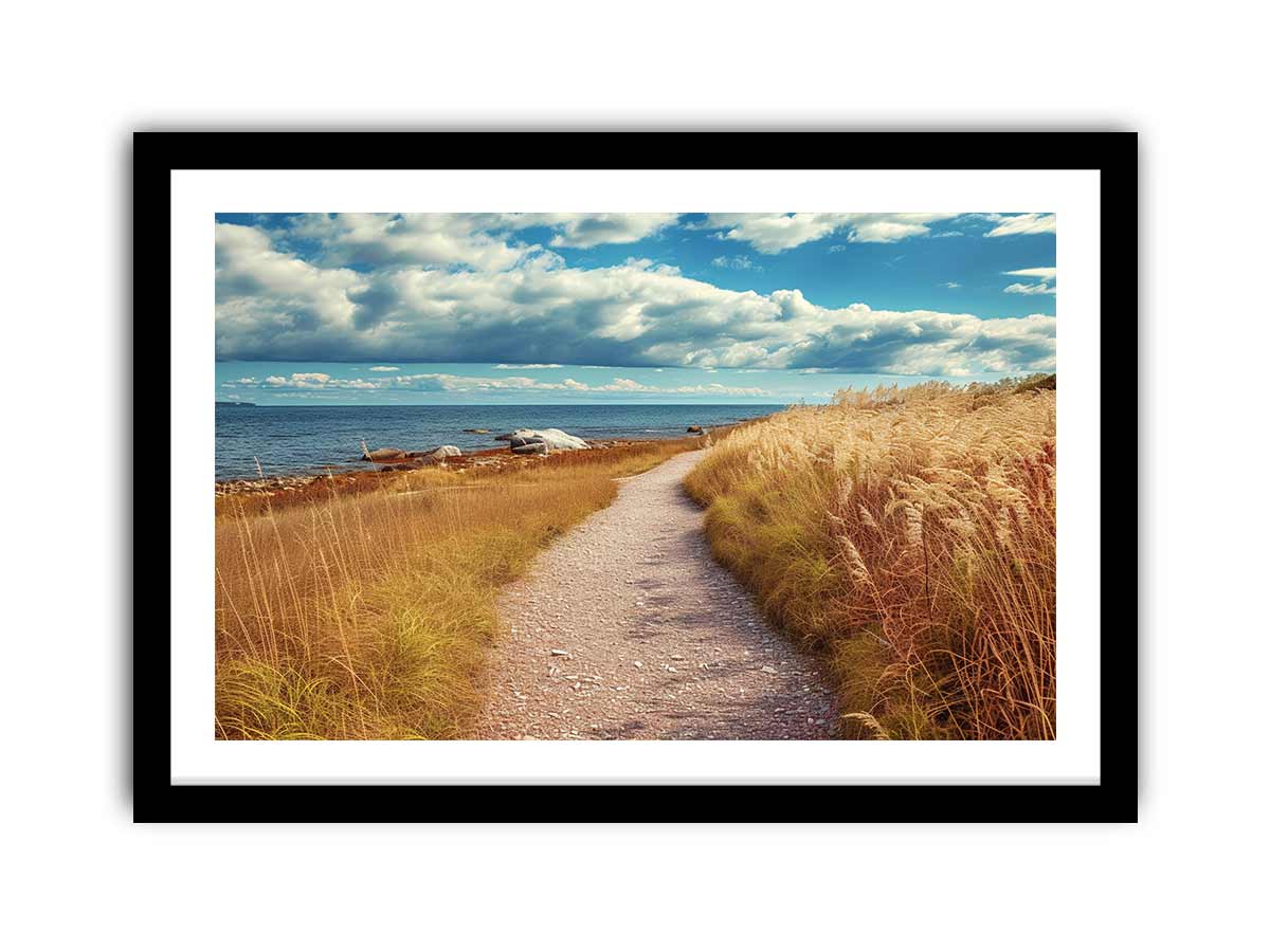 Beach Path Framed Print-0