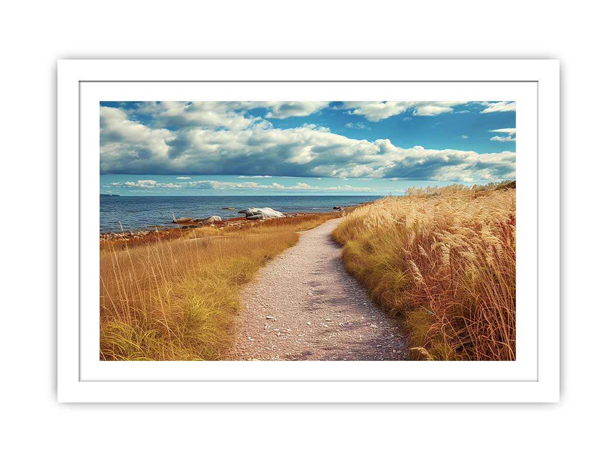 Beach Path Framed Print-1