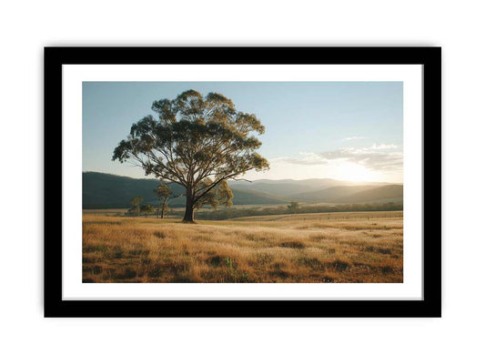 Peace Framed Print-0