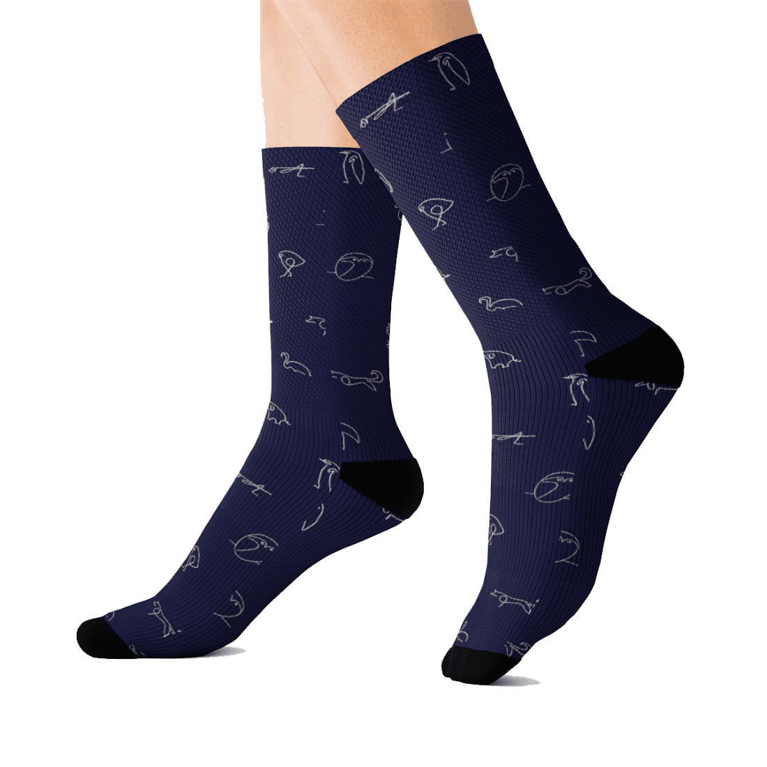 Pablo Picasso Animals Pattern Artwork Socks-1