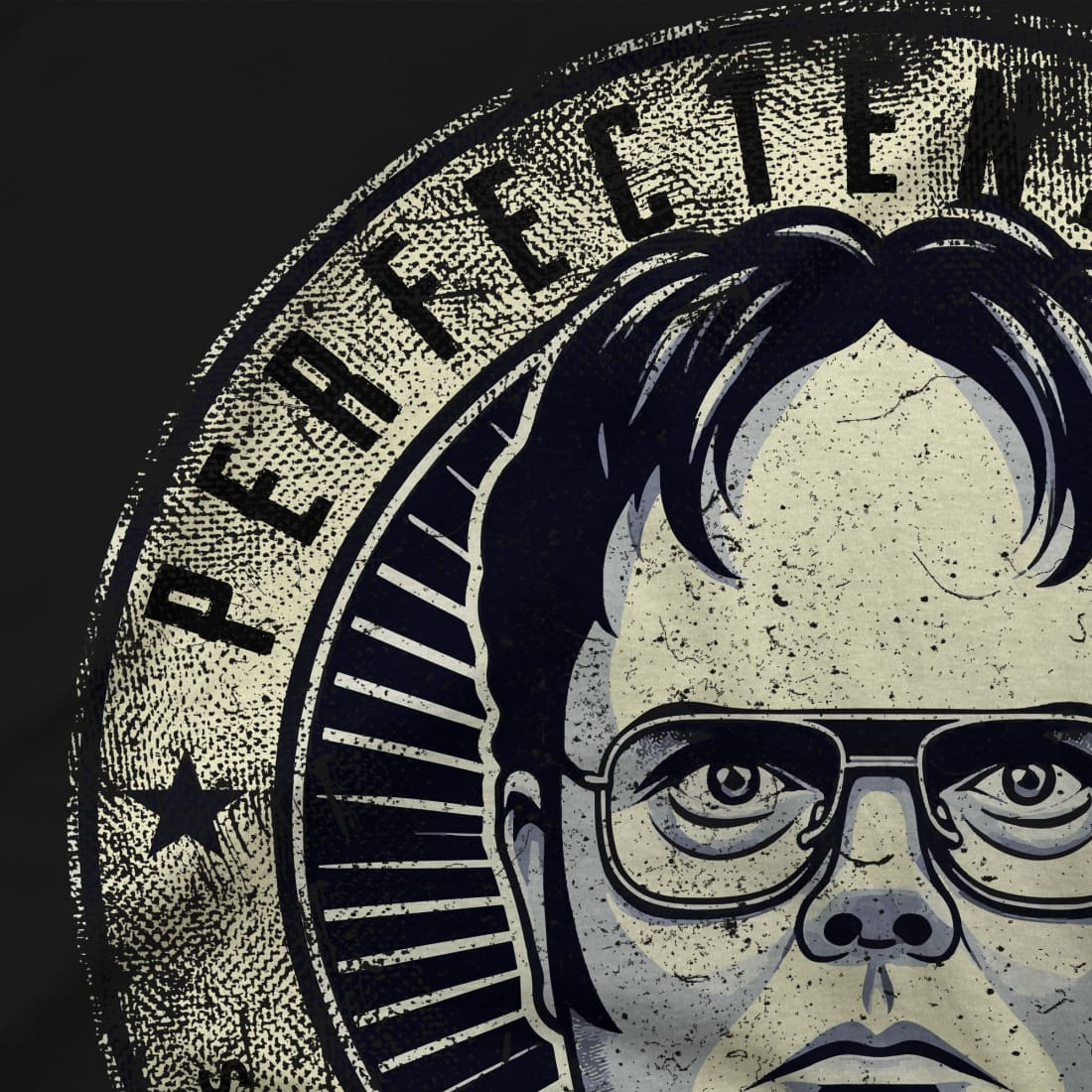 Perfectenschlag - Schrute's Perfection Distressed T-Shirt-1