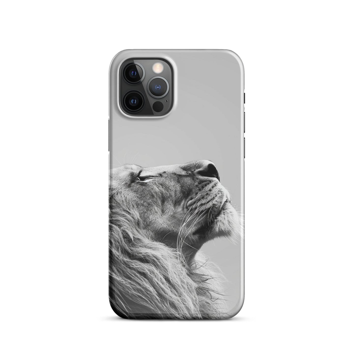 Lion Art Phone case for iPhone-10