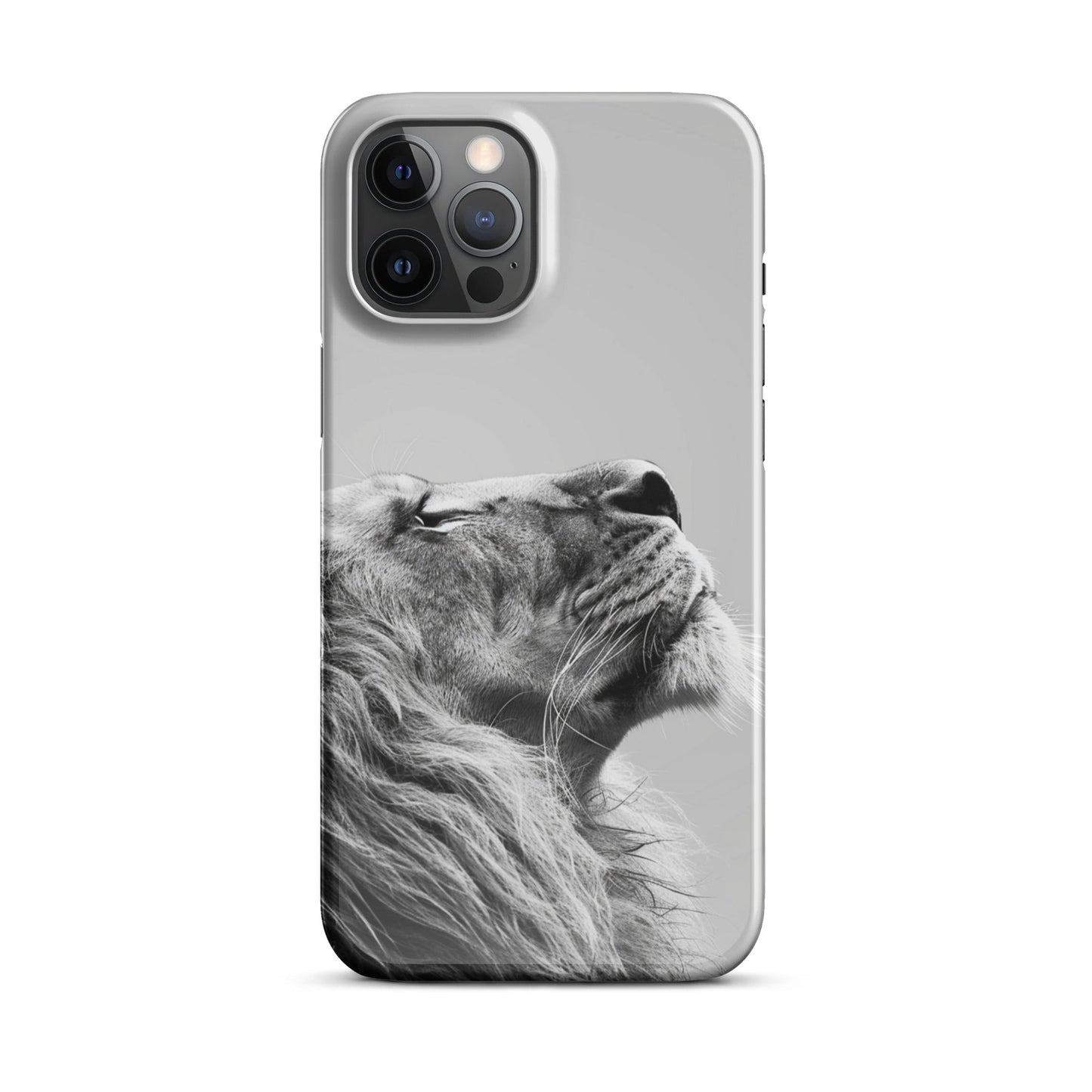 Lion Art Phone case for iPhone-12