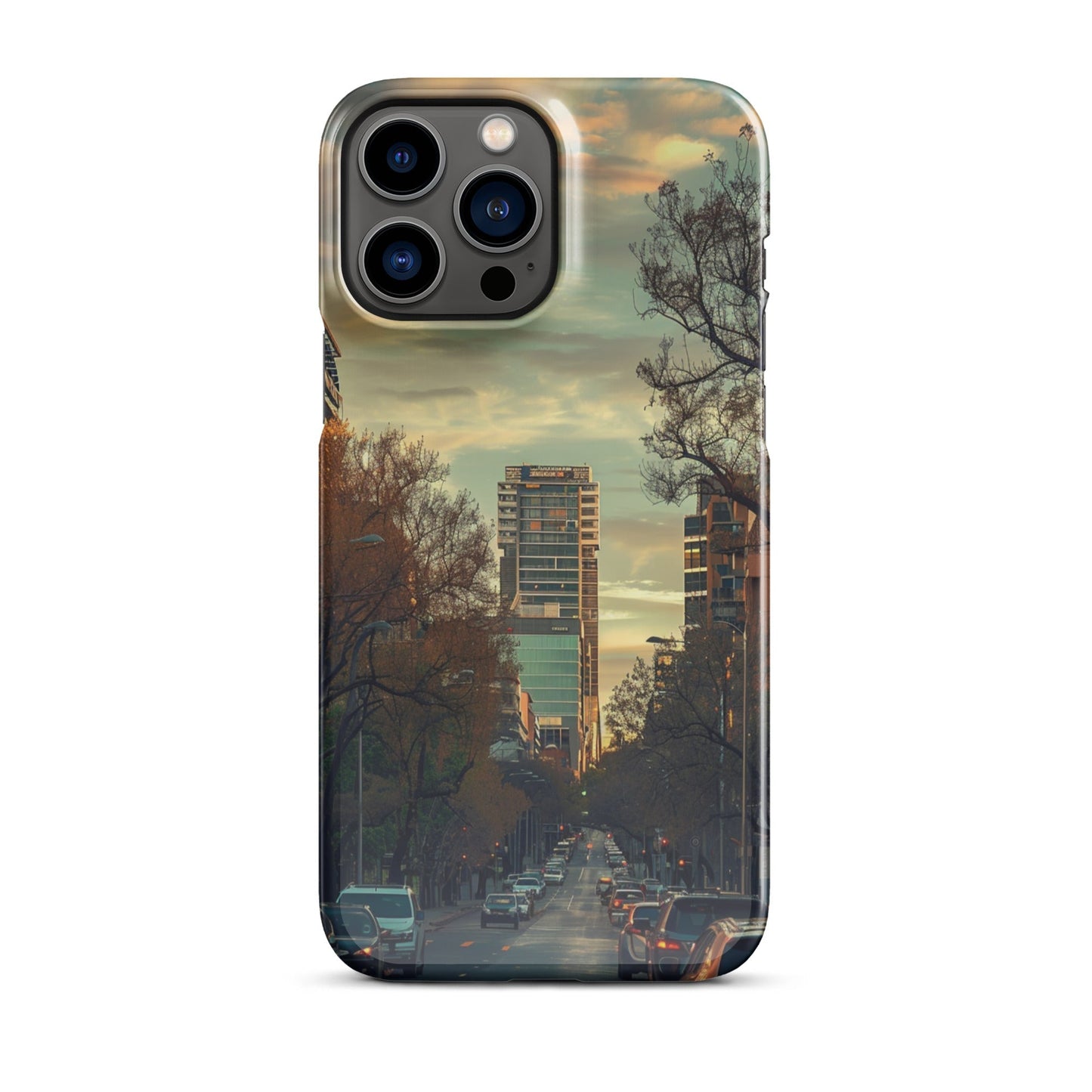 Adelaide Phone case for iPhone-20