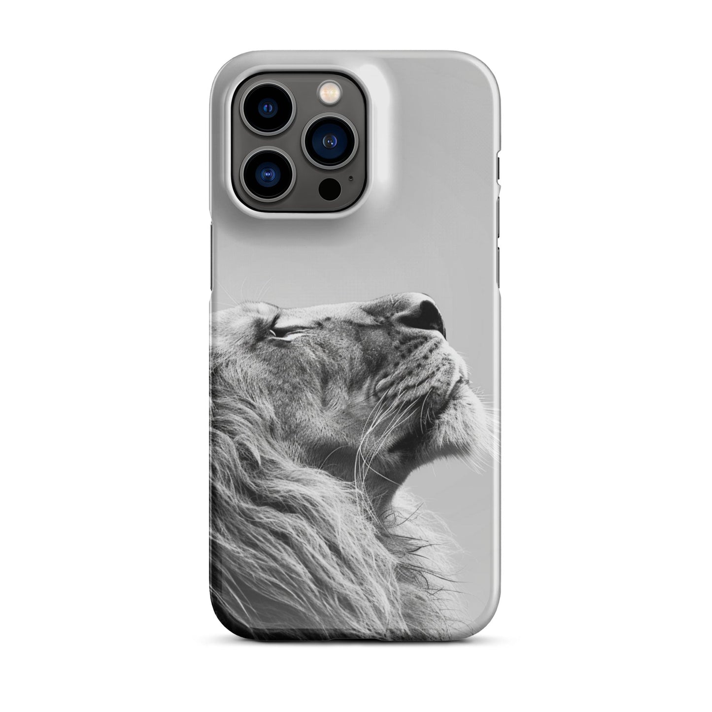 Lion Art Phone case for iPhone-28