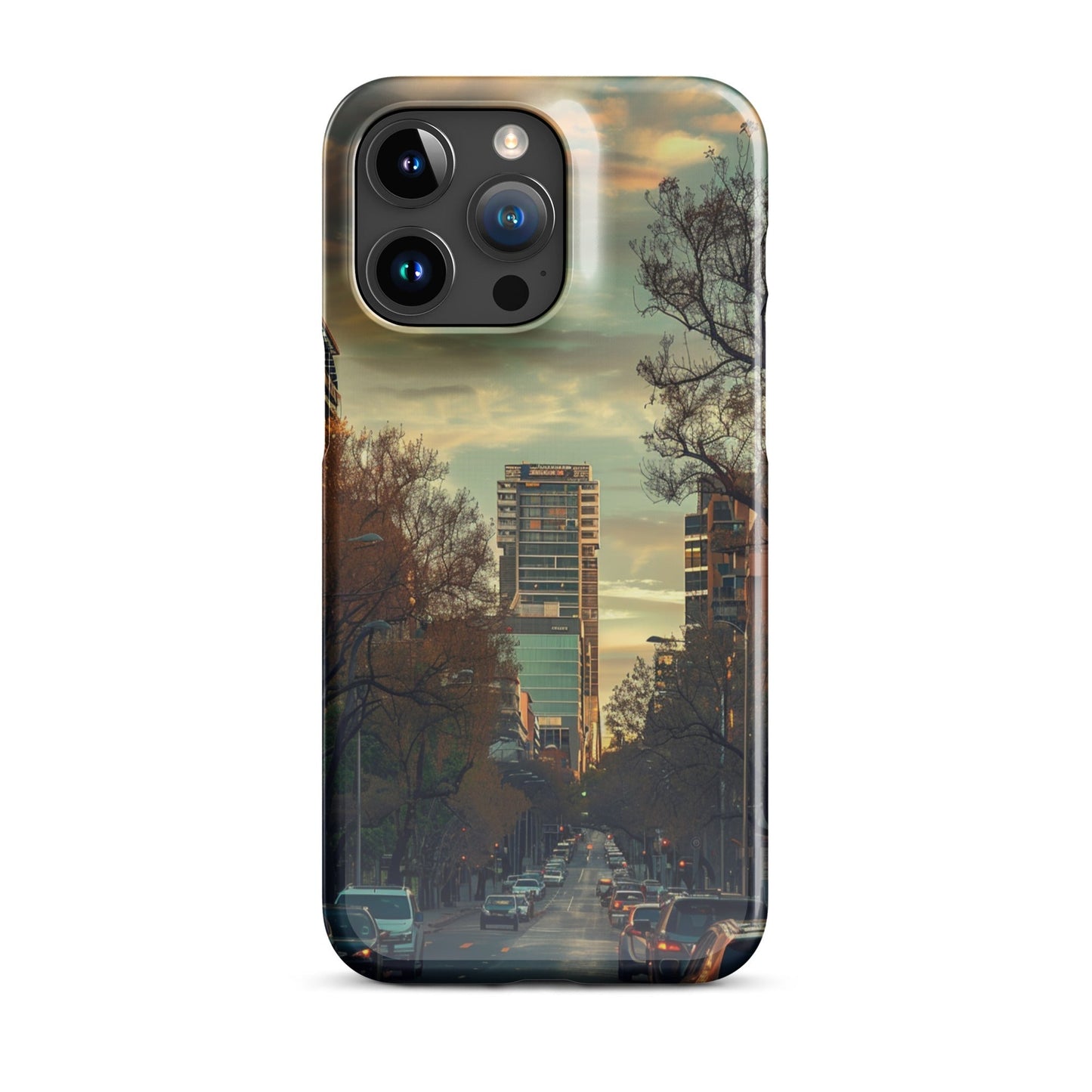 Adelaide Phone case for iPhone-36