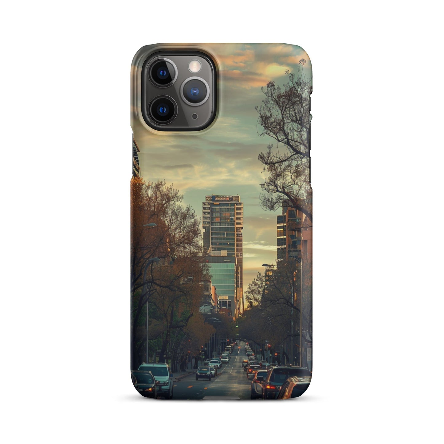 Adelaide Phone case for iPhone-3