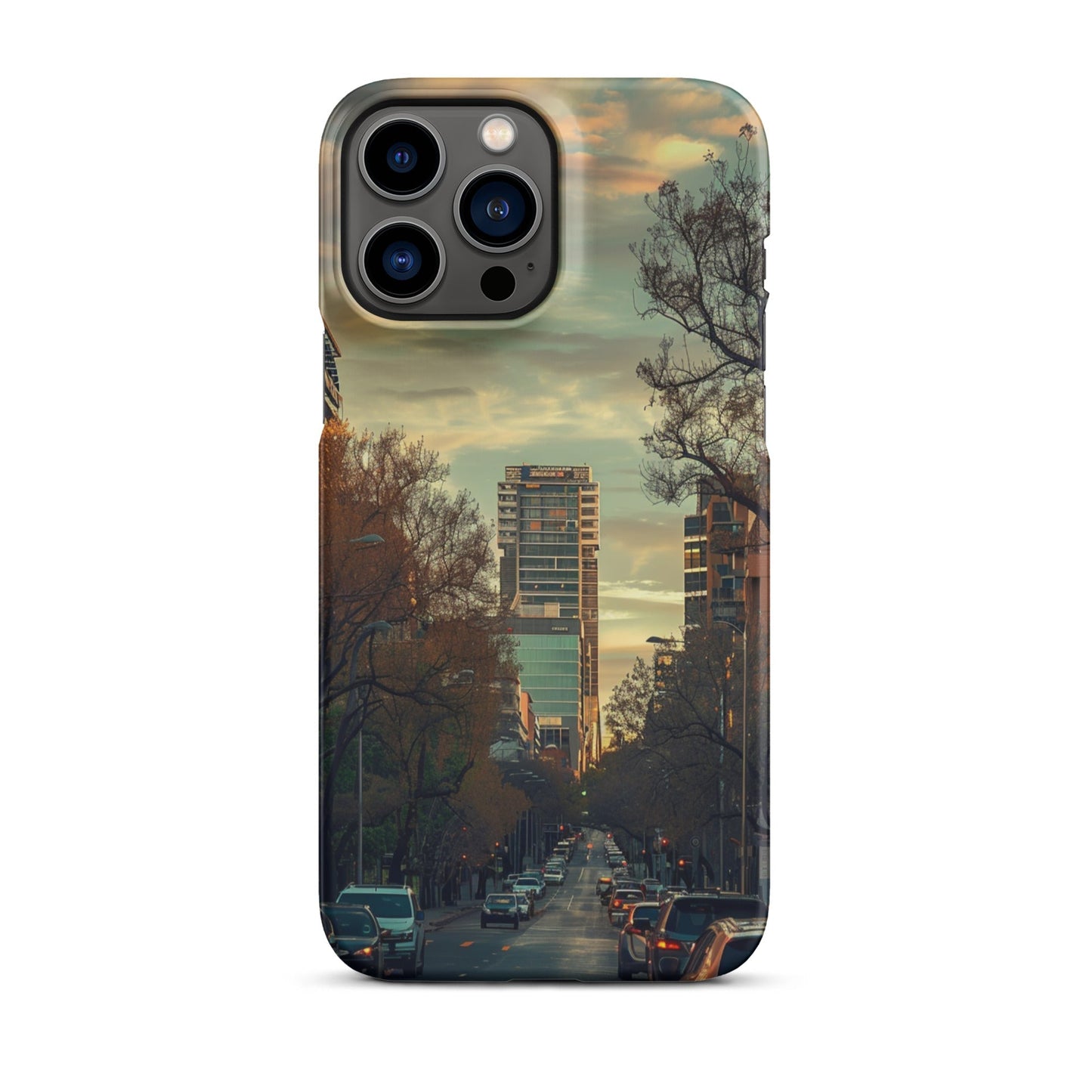 Adelaide Phone case for iPhone-21