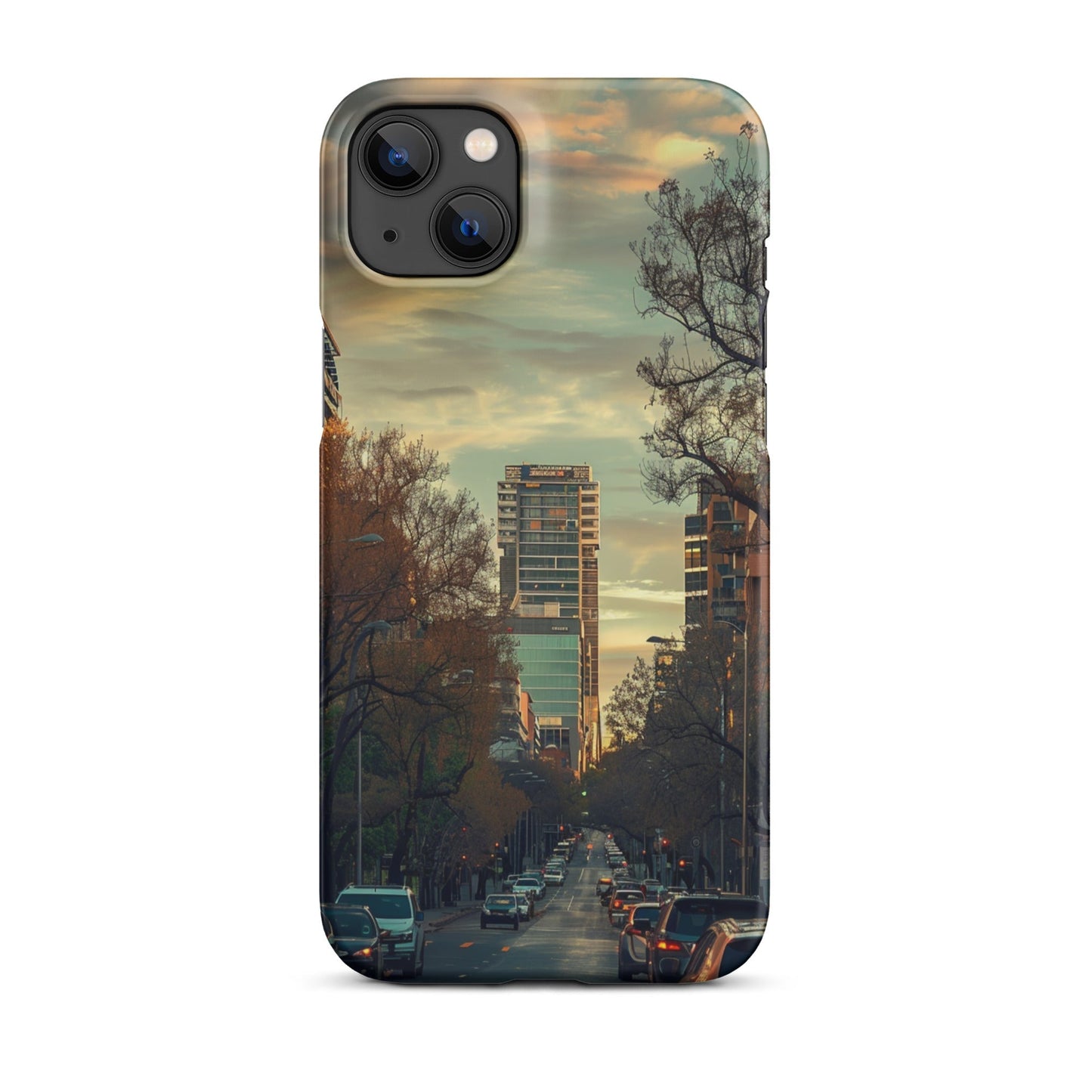 Adelaide Phone case for iPhone-25