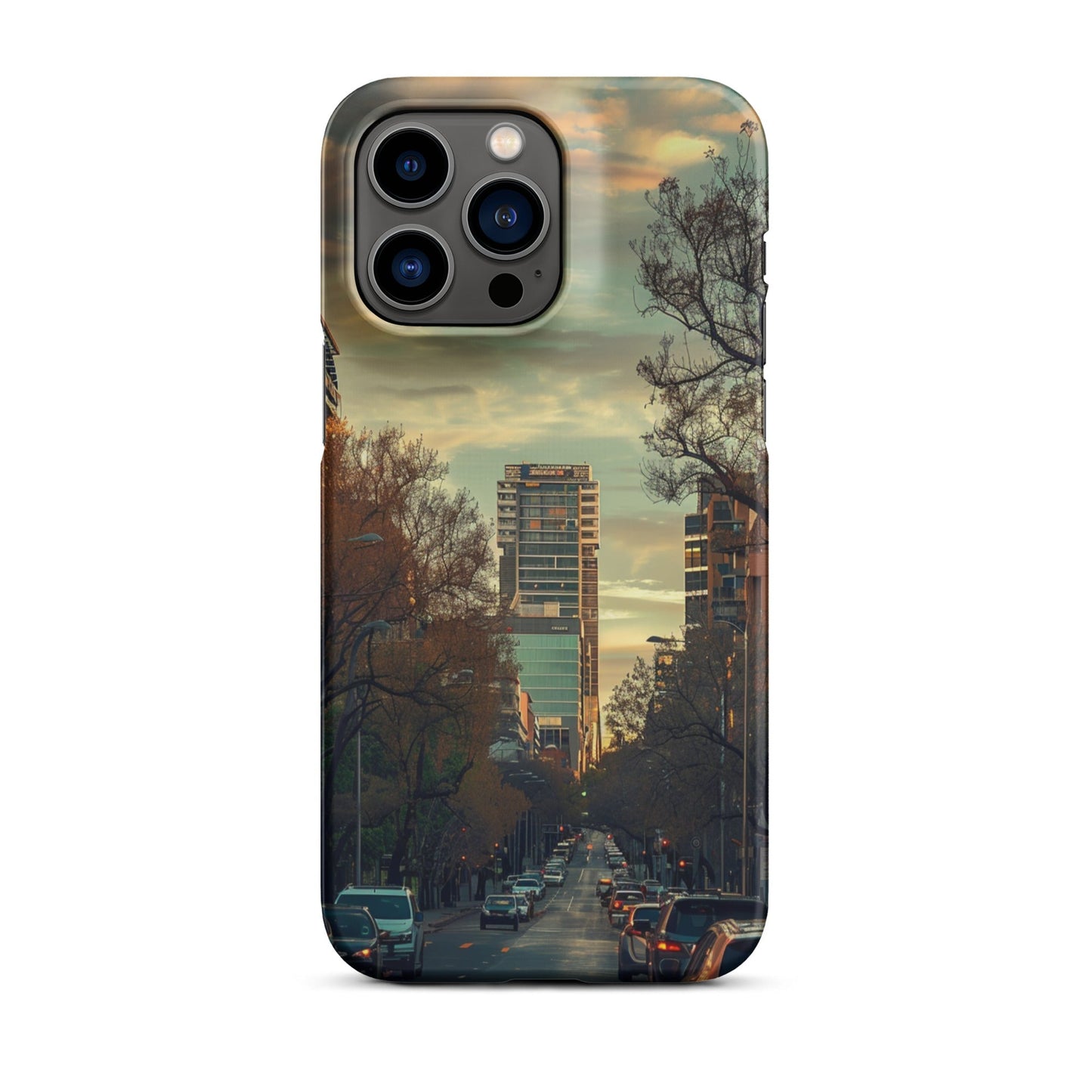 Adelaide Phone case for iPhone-29