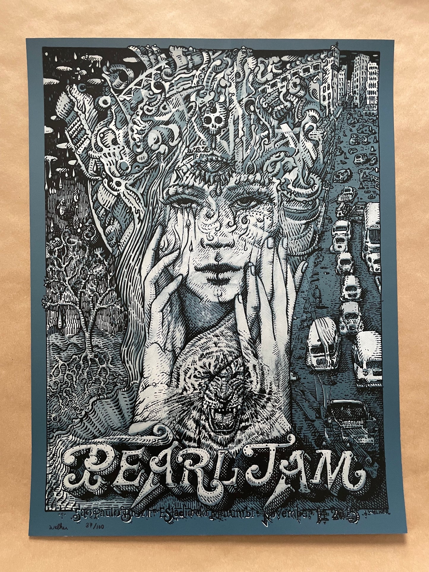 Pearl Jam Sao Paulo, Brazil 2015 - David Welker